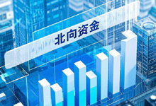 跟随北向资金脚步:消费与金融板块的长线配置指南-股票自学网-学炒股